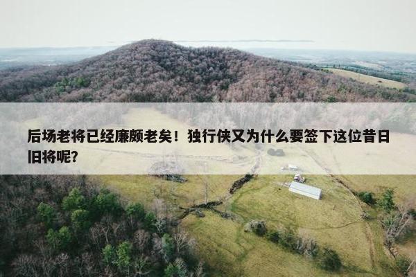 后场老将已经廉颇老矣！独行侠又为什么要签下这位昔日旧将呢？