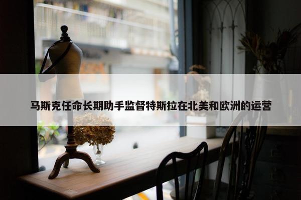 马斯克任命长期助手监督特斯拉在北美和欧洲的运营