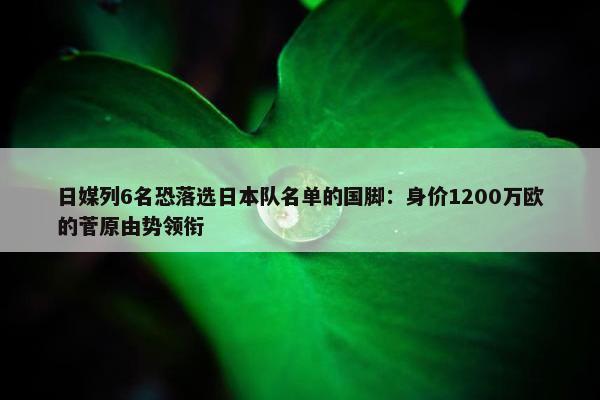 日媒列6名恐落选日本队名单的国脚：身价1200万欧的菅原由势领衔