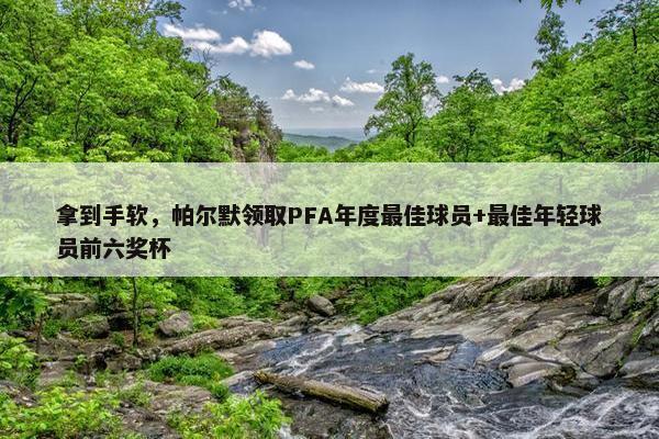 拿到手软，帕尔默领取PFA年度最佳球员+最佳年轻球员前六奖杯