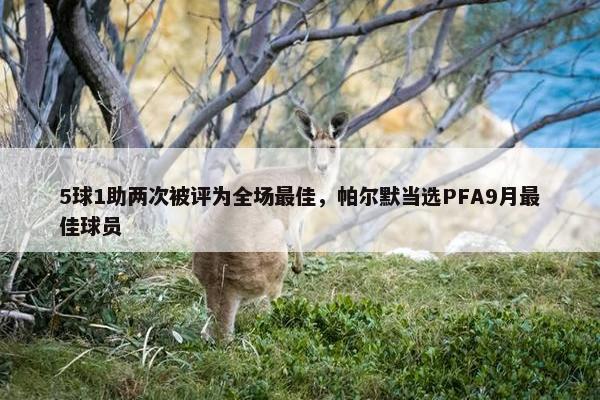 5球1助两次被评为全场最佳，帕尔默当选PFA9月最佳球员