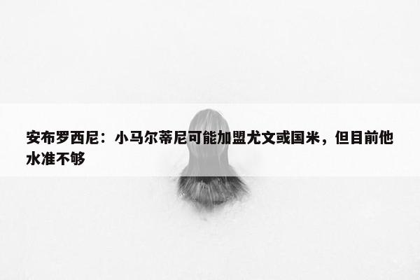 安布罗西尼：小马尔蒂尼可能加盟尤文或国米，但目前他水准不够