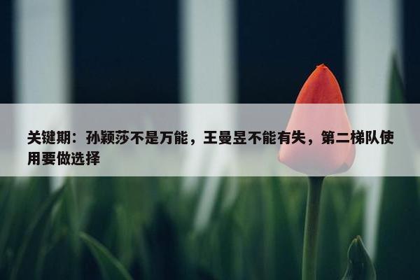 关键期：孙颖莎不是万能，王曼昱不能有失，第二梯队使用要做选择