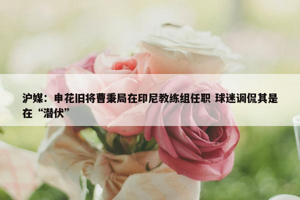 沪媒：申花旧将曹秉局在印尼教练组任职 球迷调侃其是在“潜伏”