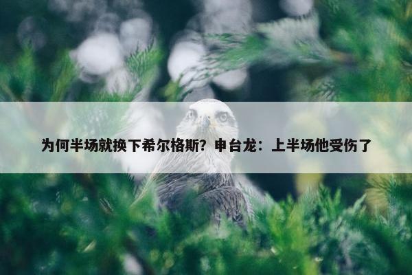 为何半场就换下希尔格斯？申台龙：上半场他受伤了