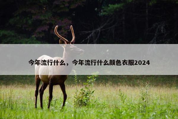 今年流行什么，今年流行什么颜色衣服2024