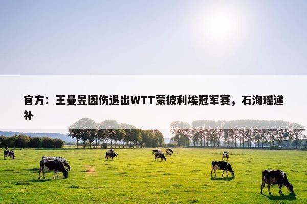 官方：王曼昱因伤退出WTT蒙彼利埃冠军赛，石洵瑶递补