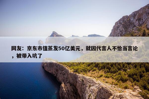 网友：京东市值蒸发50亿美元，就因代言人不恰当言论，被带入坑了