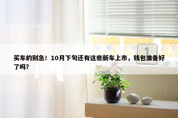 买车的别急！10月下旬还有这些新车上市，钱包准备好了吗？