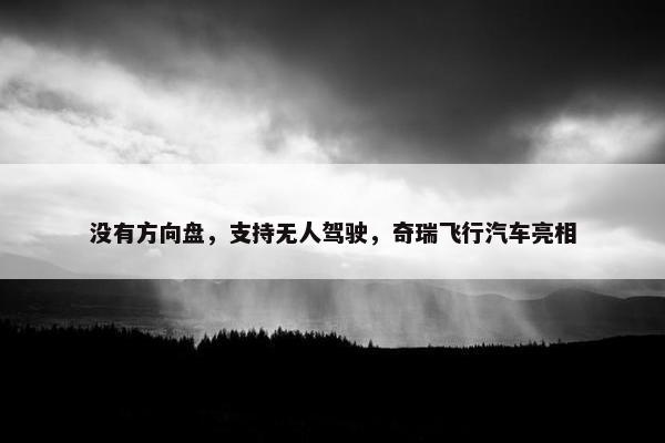 没有方向盘，支持无人驾驶，奇瑞飞行汽车亮相