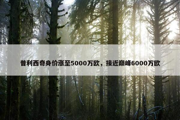 普利西奇身价涨至5000万欧，接近巅峰6000万欧