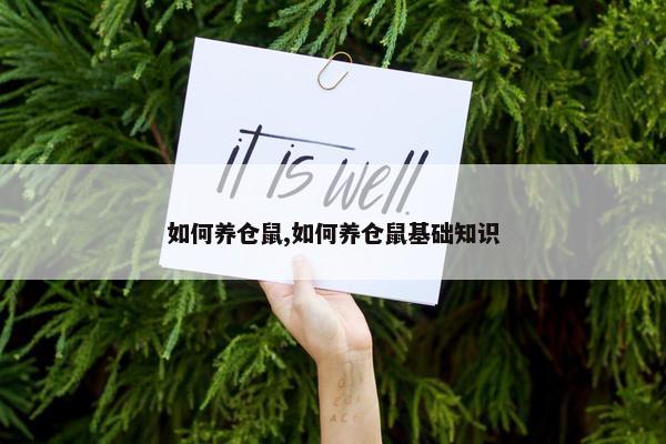 如何养仓鼠,如何养仓鼠基础知识