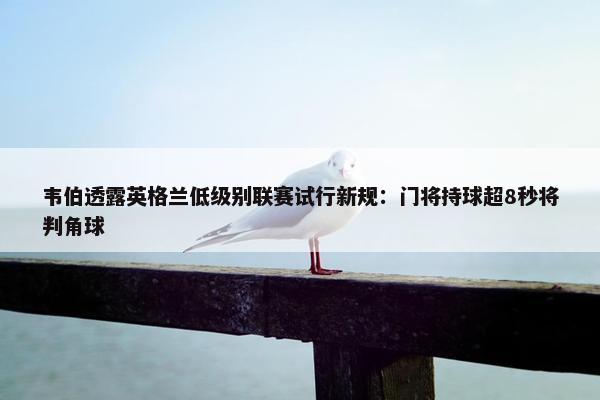 韦伯透露英格兰低级别联赛试行新规：门将持球超8秒将判角球