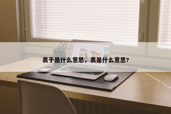 衷于是什么意思，衷是什么意思?