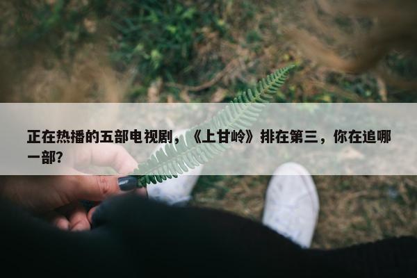 正在热播的五部电视剧，《上甘岭》排在第三，你在追哪一部？