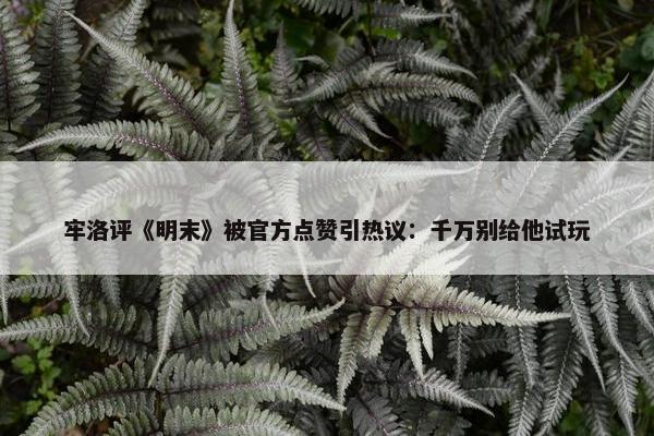 牢洛评《明末》被官方点赞引热议：千万别给他试玩