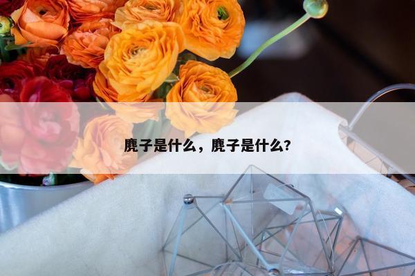 麂子是什么，麂子是什么?