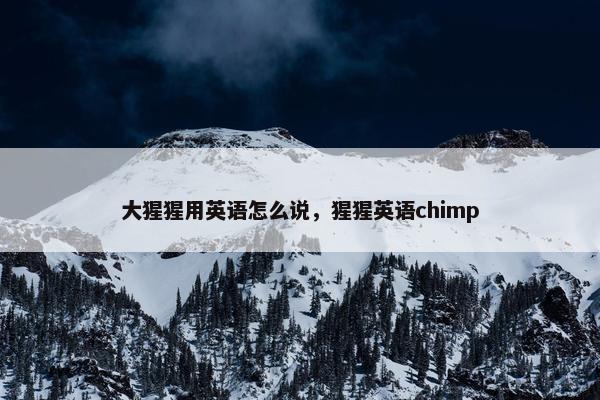 大猩猩用英语怎么说，猩猩英语chimp