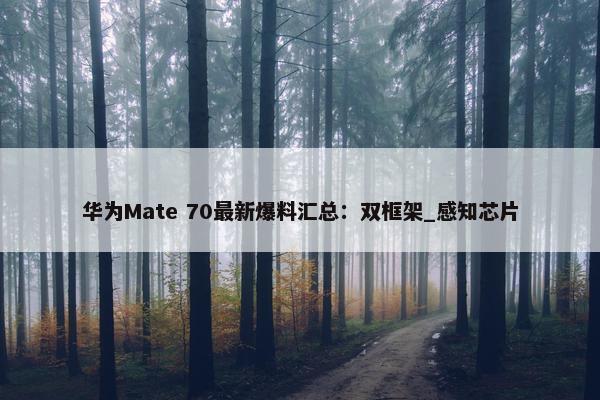 华为Mate 70最新爆料汇总：双框架_感知芯片