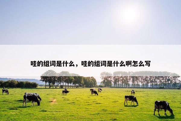 哇的组词是什么，哇的组词是什么啊怎么写