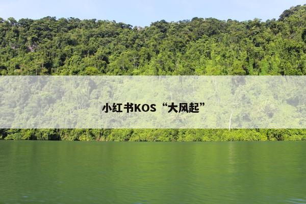 小红书KOS“大风起”