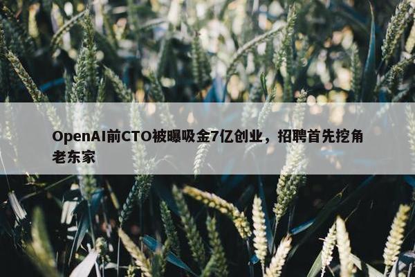 OpenAI前CTO被曝吸金7亿创业，招聘首先挖角老东家