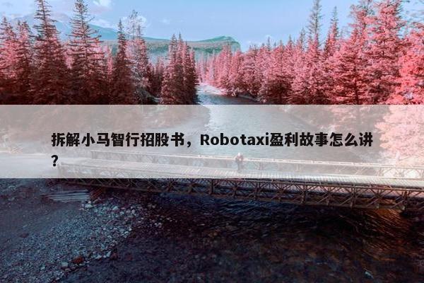 拆解小马智行招股书，Robotaxi盈利故事怎么讲？