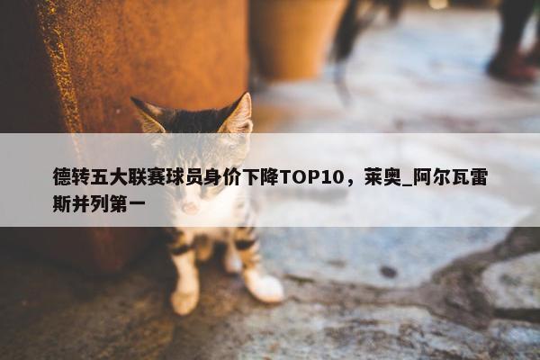 德转五大联赛球员身价下降TOP10，莱奥_阿尔瓦雷斯并列第一