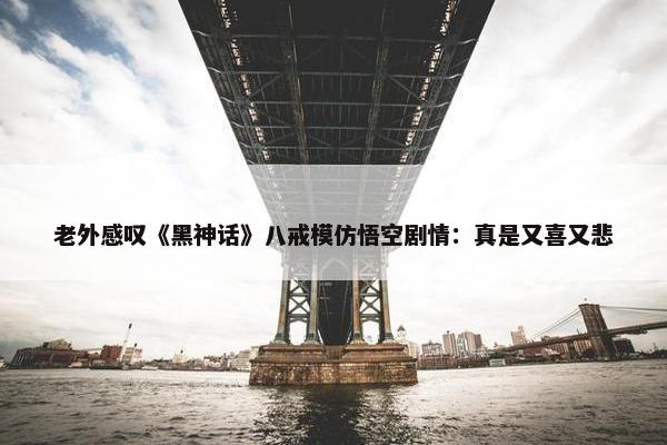 老外感叹《黑神话》八戒模仿悟空剧情：真是又喜又悲