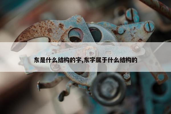 东是什么结构的字,东字属于什么结构的