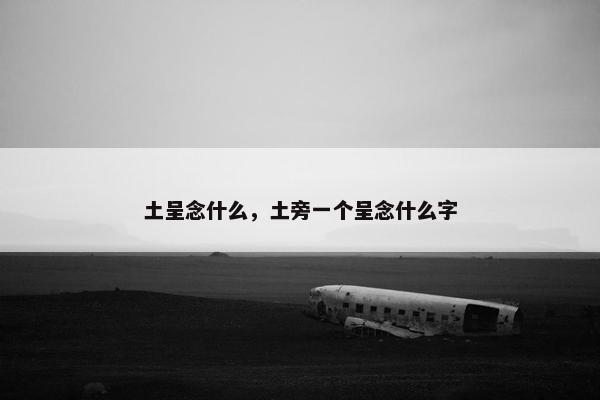 土呈念什么，土旁一个呈念什么字