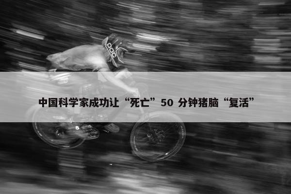 中国科学家成功让“死亡”50 分钟猪脑“复活”