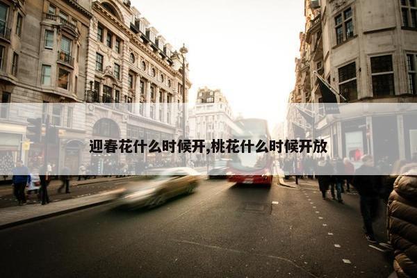 迎春花什么时候开,桃花什么时候开放