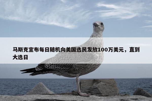 马斯克宣布每日随机向美国选民发放100万美元，直到大选日