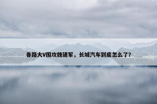 各路大V围攻魏建军，长城汽车到底怎么了？