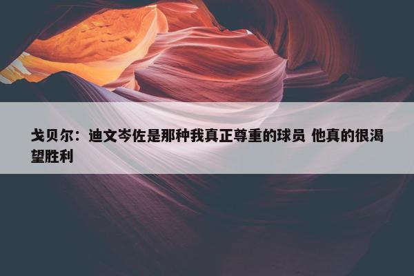 戈贝尔：迪文岑佐是那种我真正尊重的球员 他真的很渴望胜利