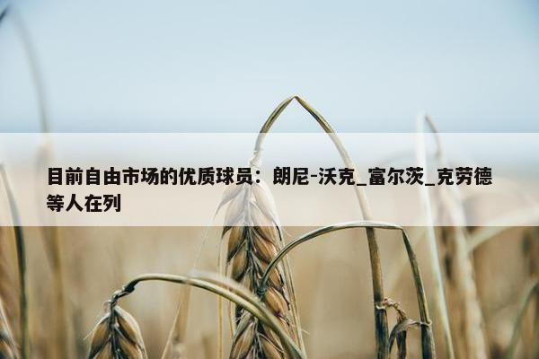 目前自由市场的优质球员：朗尼-沃克_富尔茨_克劳德等人在列