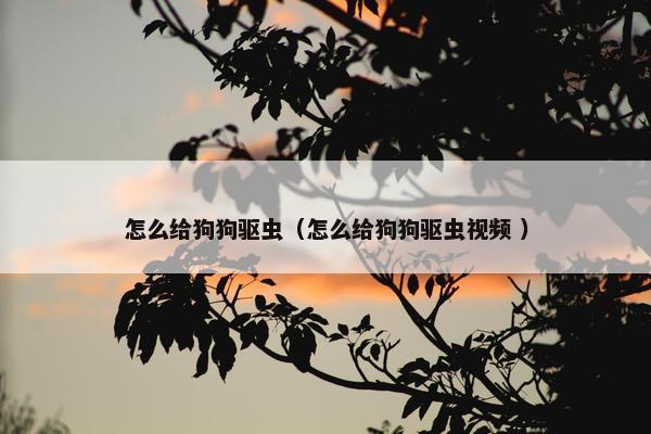 怎么给狗狗驱虫（怎么给狗狗驱虫视频 ）