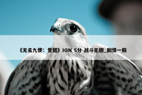 《无名九使：觉醒》IGN 5分 战斗无趣_剧情一般