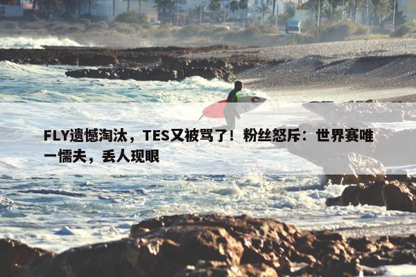 FLY遗憾淘汰，TES又被骂了！粉丝怒斥：世界赛唯一懦夫，丢人现眼