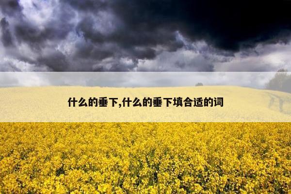 什么的垂下,什么的垂下填合适的词