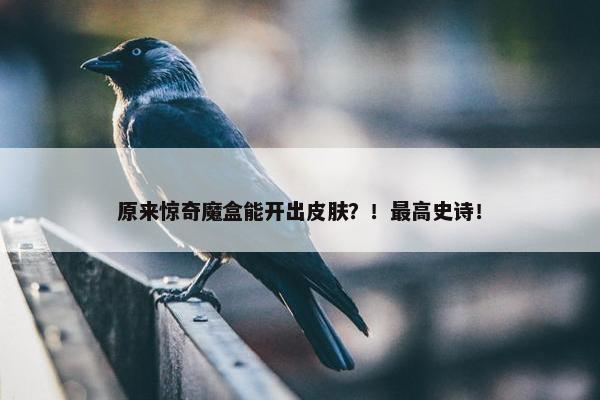 原来惊奇魔盒能开出皮肤？！最高史诗！