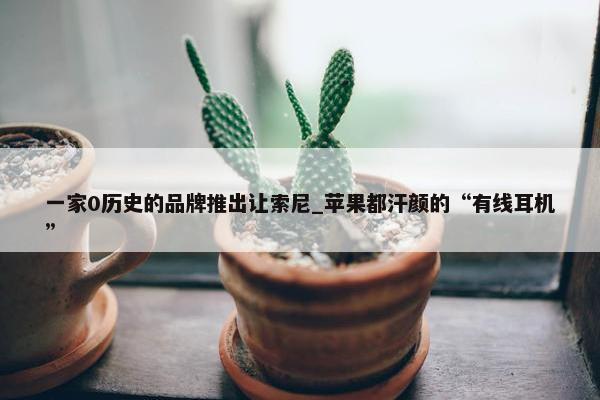 一家0历史的品牌推出让索尼_苹果都汗颜的“有线耳机”