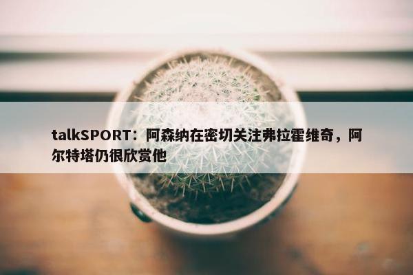 talkSPORT：阿森纳在密切关注弗拉霍维奇，阿尔特塔仍很欣赏他