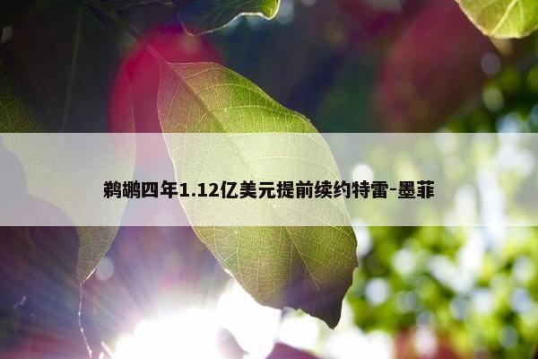 鹈鹕四年1.12亿美元提前续约特雷-墨菲