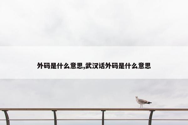 外码是什么意思,武汉话外码是什么意思