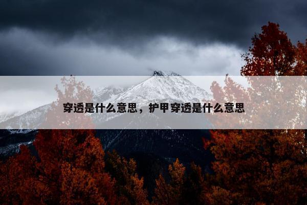 穿透是什么意思，护甲穿透是什么意思