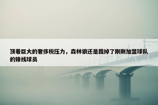 顶着巨大的奢侈税压力，森林狼还是裁掉了刚刚加盟球队的锋线球员