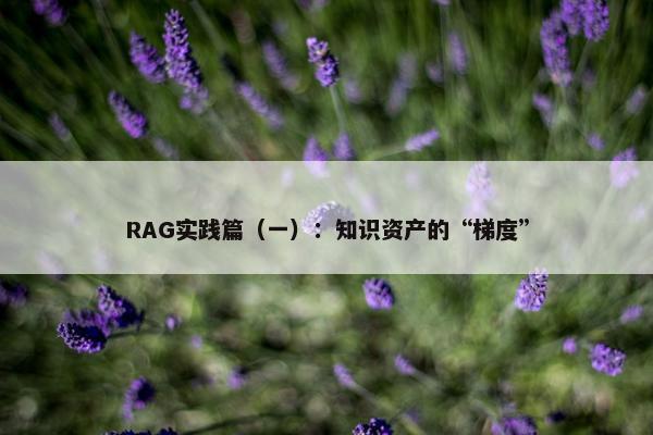 RAG实践篇（一）：知识资产的“梯度”