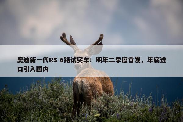 奥迪新一代RS 6路试实车！明年二季度首发，年底进口引入国内